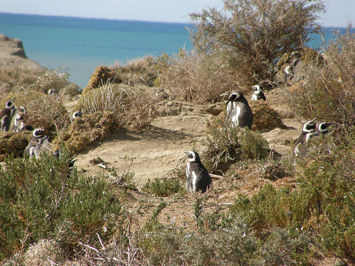 Национальный парк Монте-Леон